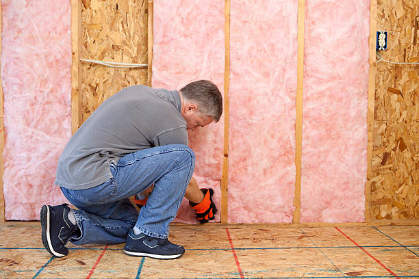 Best Spray Foam Insulation  in Abingdon, MD